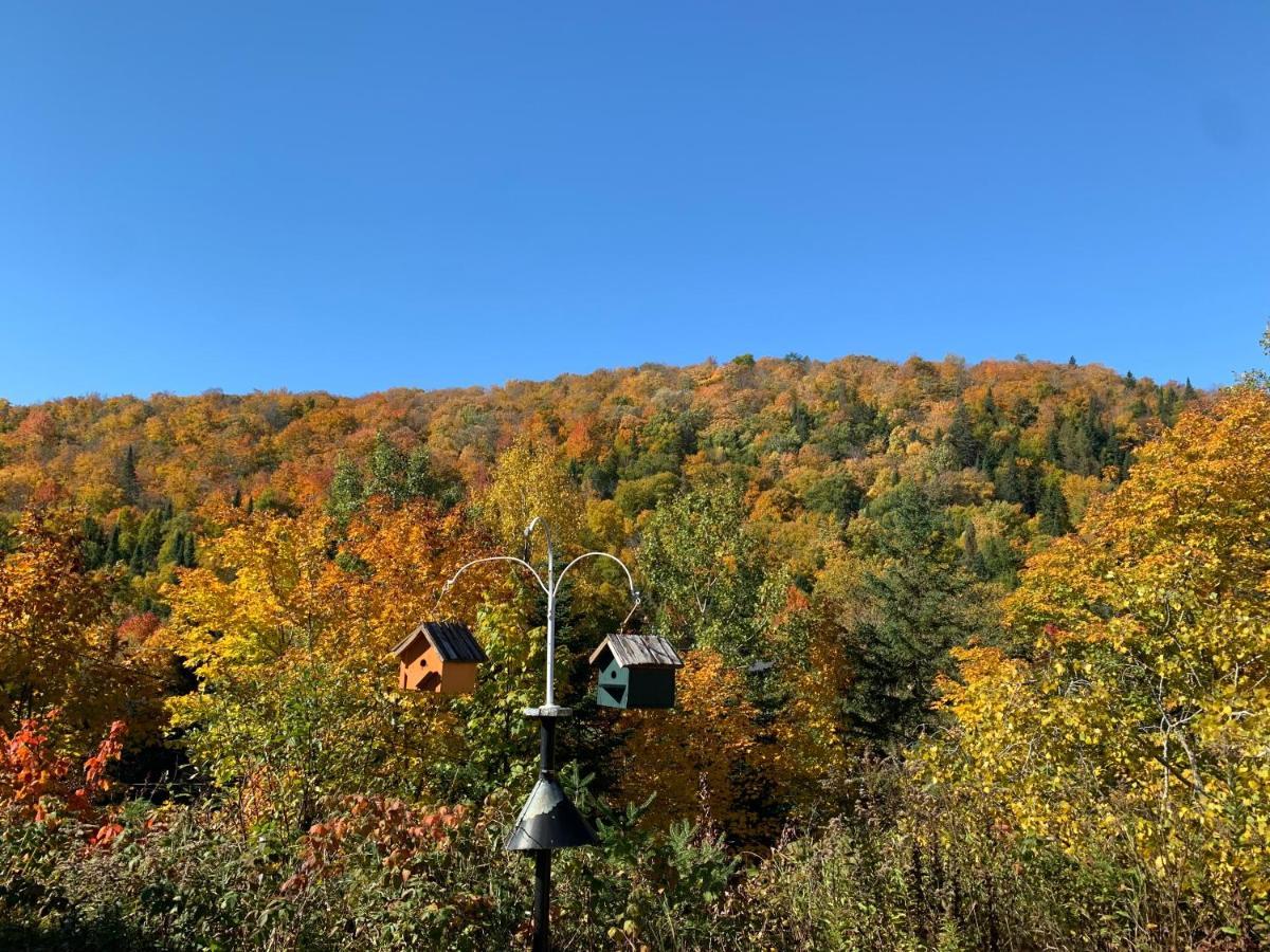 Loft Nature Laurentides Val-des-Lacs Zewnętrze zdjęcie