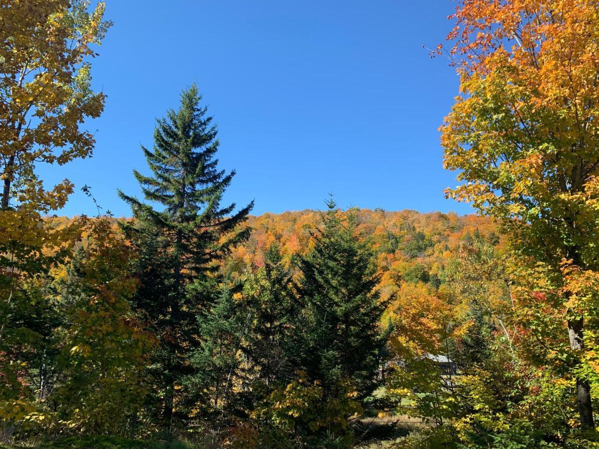 Loft Nature Laurentides Val-des-Lacs Zewnętrze zdjęcie