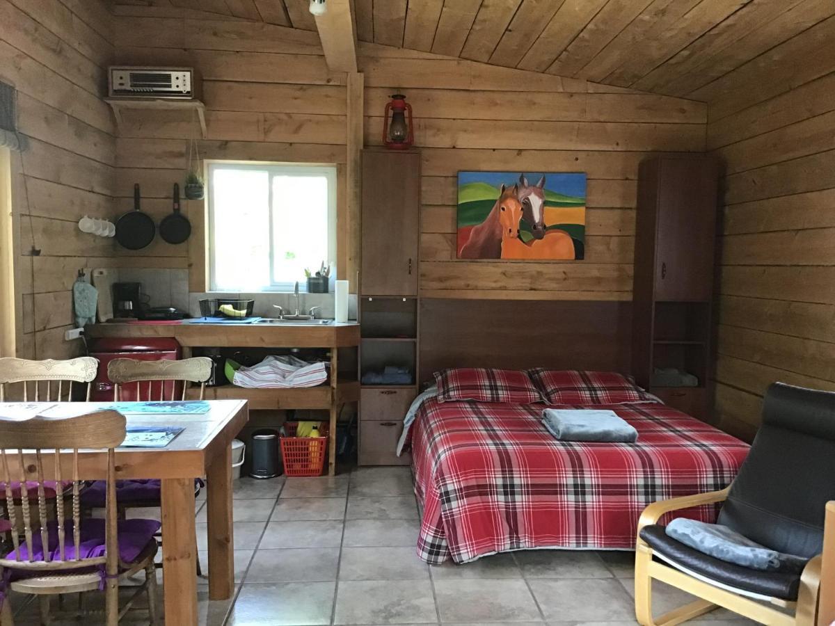 Loft Nature Laurentides Val-des-Lacs Zewnętrze zdjęcie